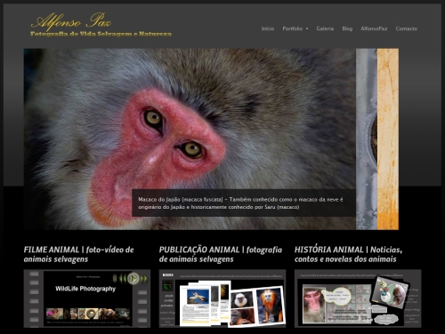 animais fotos | fotos de animais selvagens no novo site